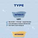 댕댕스파 이미지