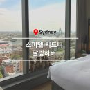 하버시티 | 호텔 :: 소피텔 시드니 달링하버 시티뷰 추천 아코르 멤버십 이용후기 (왈라비인형, 수영장, 샴페인 바)