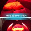 더블유엠 (WM)