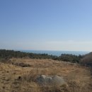 장안졸음쉼터 이미지