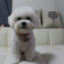 몽글몽글 이미지