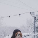 아크플래닛 이미지