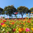 (주)스텝씨 이미지