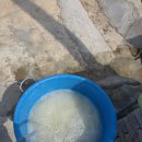 삼원농장 1 이미지