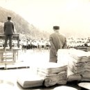 오리초등학교 이미지