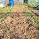 고사농장 이미지