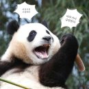 벤쳐스 | 2022 하반기 카카오벤쳐스 커뮤니케이션 서류합격 후기