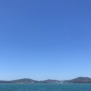 시니 케어 이미지