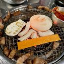주민이네 복실강아지 이미지