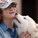 애견세계 이미지