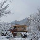 라이칸