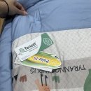 헬로우디노 | 우리 아이에게 꼭 맞는 꼬레미아 텐셀모달이불 사용 후기