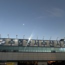 벌교오일시장3 | 강서 수협강서수산물도매시장, 내돈내산 후기 제철 방어 다양한 회 먹기 좋은 강서 맛집 쌍둥이벌교횟집