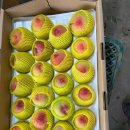 복숭아 한<b>박스</b> 7,000원/30박스