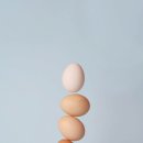 ㈜한국애보트 이미지