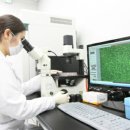 현대메디텍 이미지