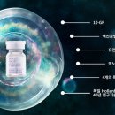 에스테틱솔루션