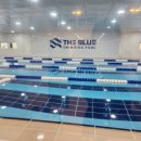 더블루스위밍풀 | 풍무 더블루스위밍풀 3개월차 후기