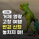 영광기획 | 거제, 영광, 고창 여행자 주목! 2026 지역사랑 반값여행 신청 필수.