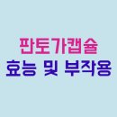 멀츠아시아퍼시픽피티이엘티디 이미지