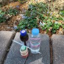 주공4단지아파트 경로당 이미지