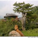 옛섬진강 이미지