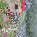 황금장어 이미지