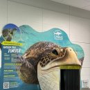 (주)그레이트짐 이미지