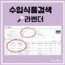 도테라코리아 유한회사