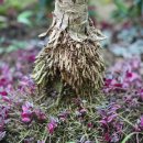 겨울에 만난 책 친구 이미지