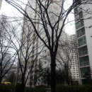 조마루로285번길·부흥로 303번길 네이버블로그