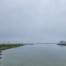 팔봉초등학교 이미지