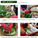 천연염색체험학습장