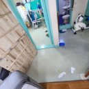 원미이불 | 부천 원미구 심곡동 옴진드기 방역 후기!!!!