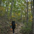 가을 최고의 산행지, 울산 가볼만한곳 영남 알프스 하늘억새길(1~5코스) 트레킹 이미지