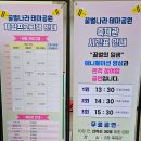 평화양봉산업 | 대구 근교 칠곡 아이랑 가볼만한 곳 참여형 공연이 있는 꿀벌나라테마공원