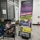 몽담일광