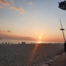 엘한의원 이미지