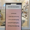 쥬쥬퍼피 이미지