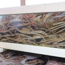 룸할인마트 이미지