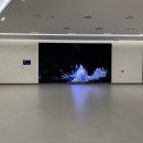 ㈜서대전현대서비스 | [Wedding Venue] 대전 팔레드오페라 | 트리아농홀 계약 후기(26년 하반기)