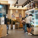 동백5로 이미지