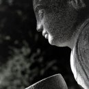 (주) 성도 이미지