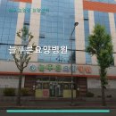 늘푸른요양병원 진료 과목 및 이용 안내