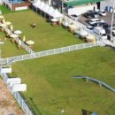 도그베이 오산점 이미지