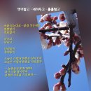 혹여 봄바람 스치거들랑 ~~ 외 4 이미지