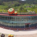 창원단감테마공원 이미지