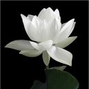 ㅂㅂㅂㅂ 이미지