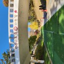 11월10일(월) 독립기념관 단풍나무숲길 절정 단풍 풍경 이미지