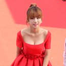 포톨로지 이미지